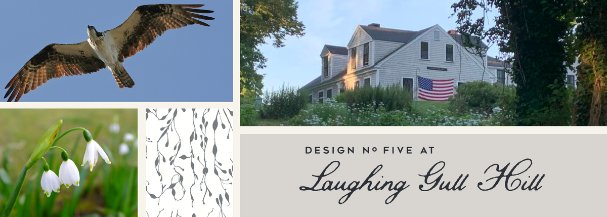 Laughing Gull Hill coastal collage with osprey, seaweed, and snowdrops capturing the shift from winter to spring on Cape Cod.